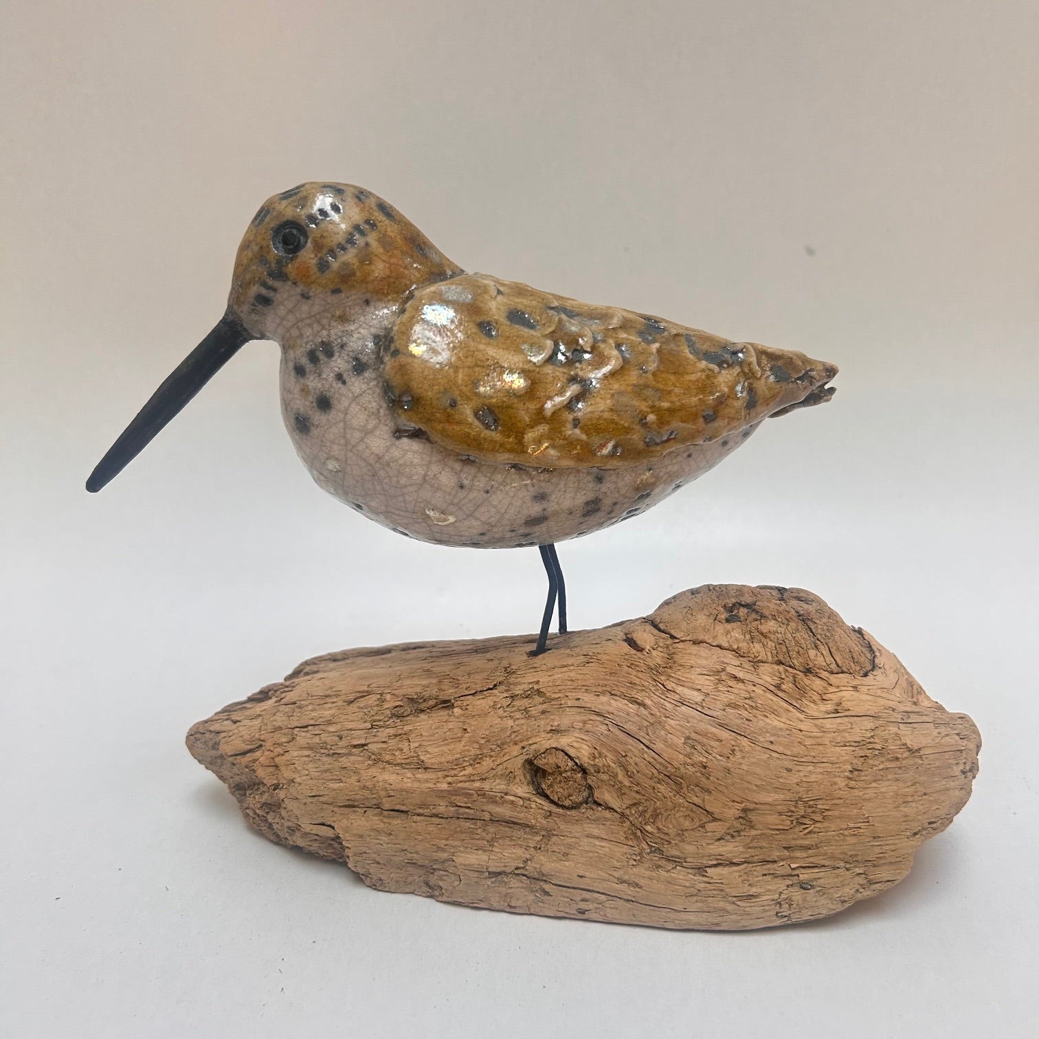 Frédérique Delcourt Bécasse sur bois flotté