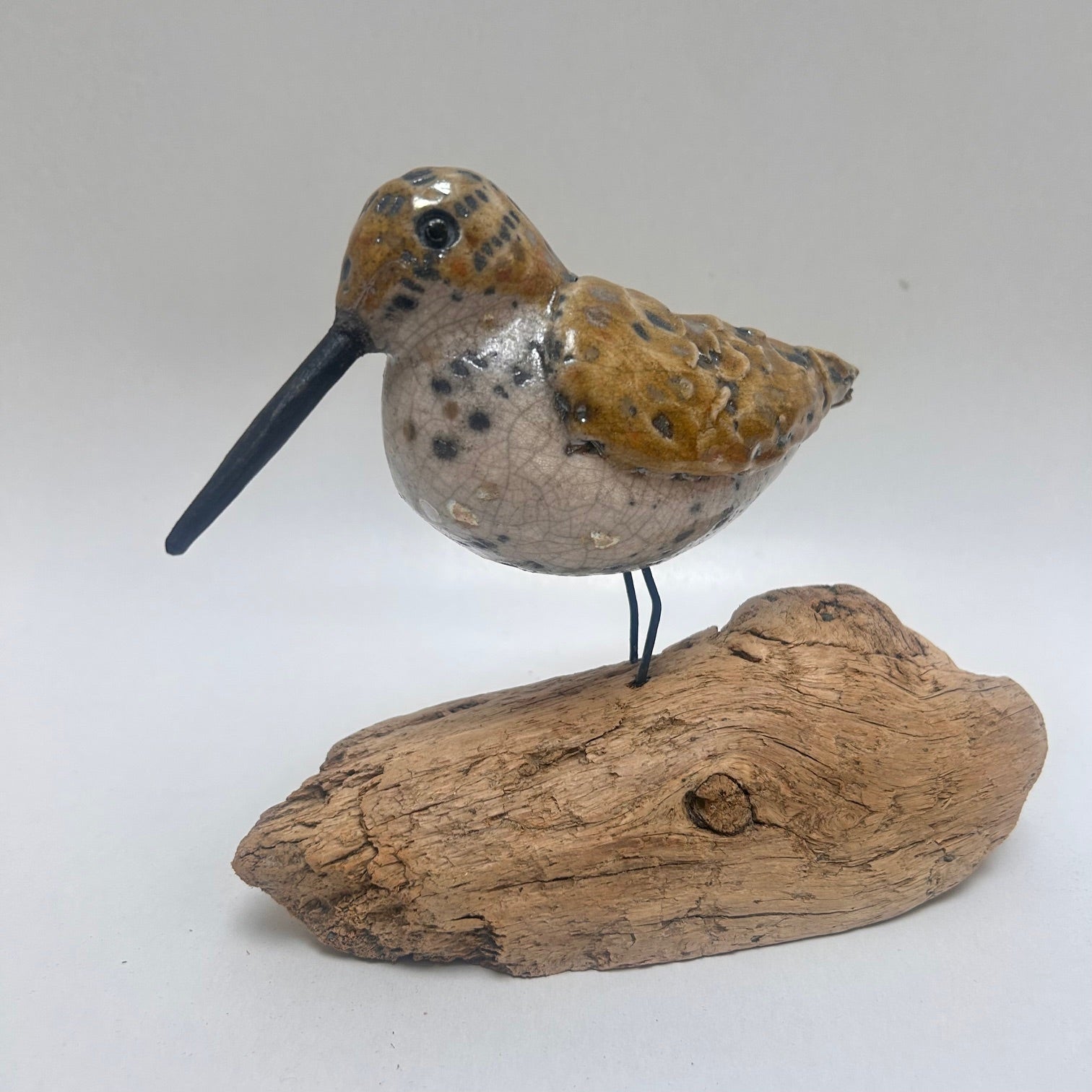 Frédérique Delcourt Bécasse sur bois flotté b