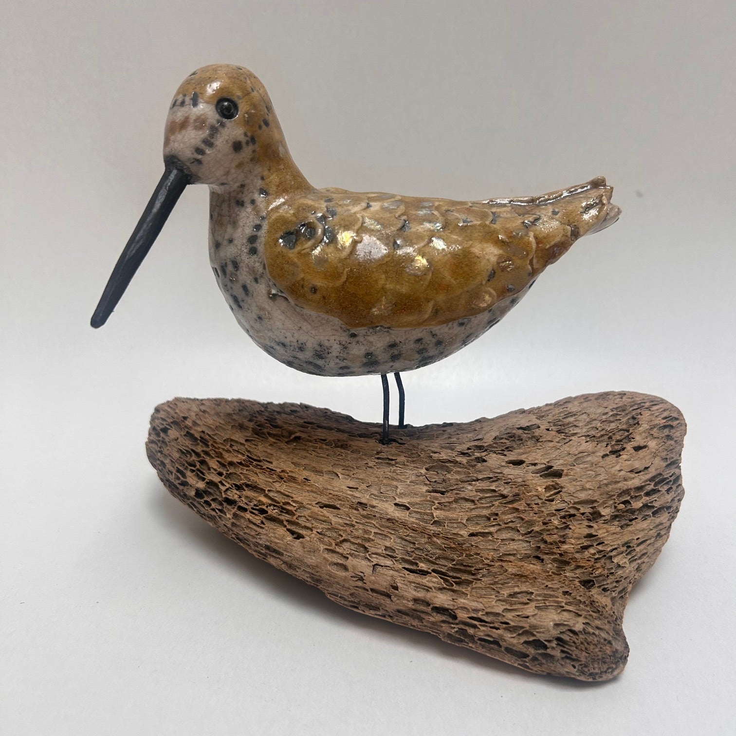 Frédérique Delcourt Bécasse sur bois flotté tournant la tête