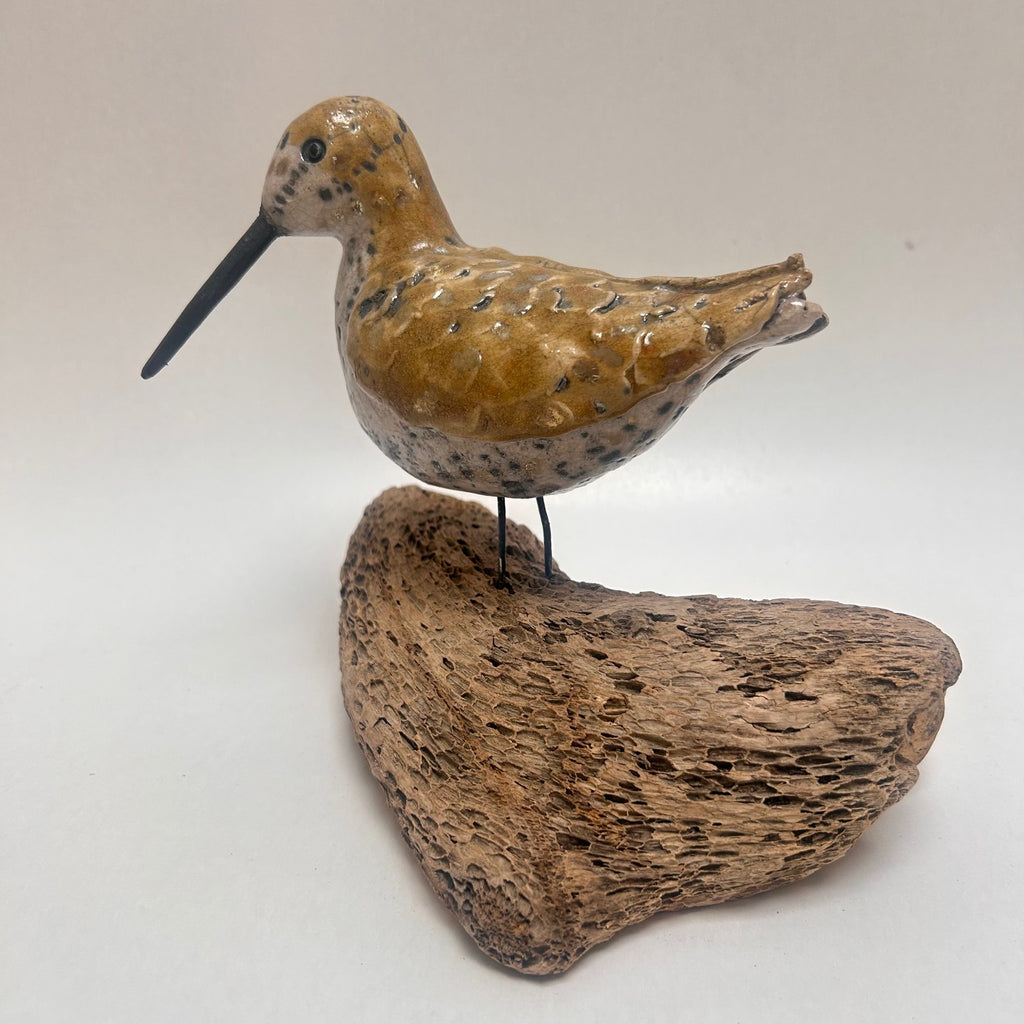 Frédérique Delcourt Bécasse sur bois flotté tournant la tête b