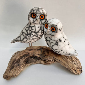 Frédérique Delcourt Couple de chouettes Raku nu