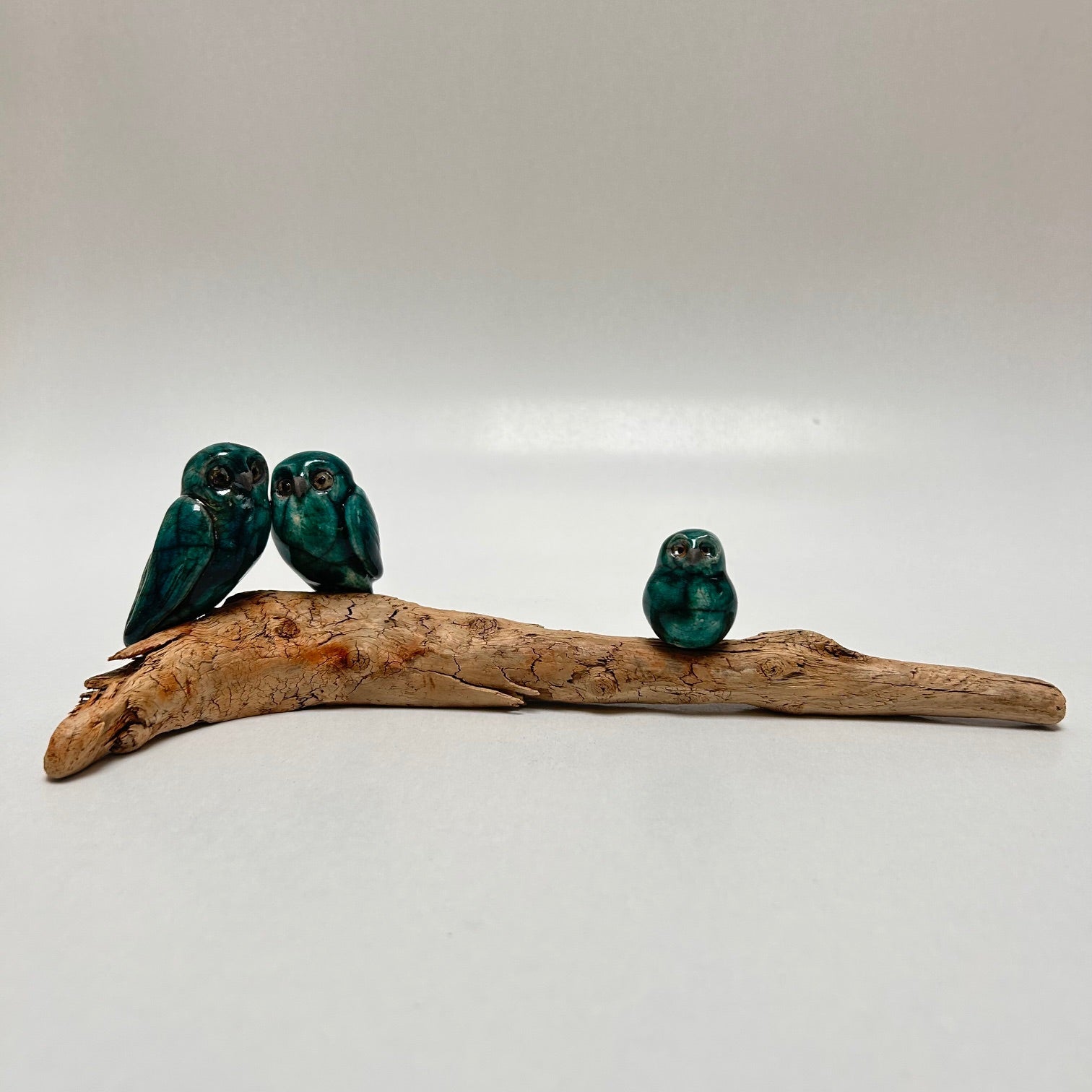 Frédérique Delcourt Famille de chouettes a