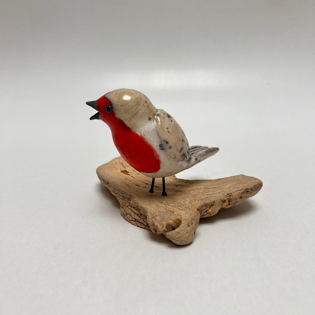 Frédérique Delcourt Rouge-gorge a