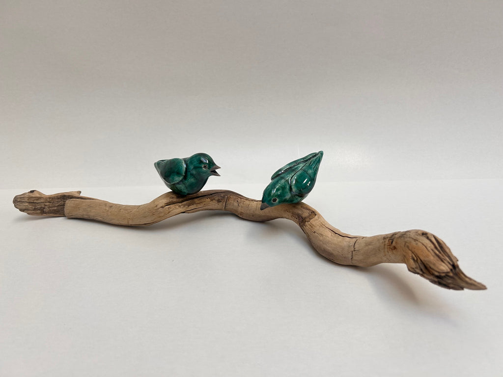 Frederique Delcourt Deux oiseaux verts
