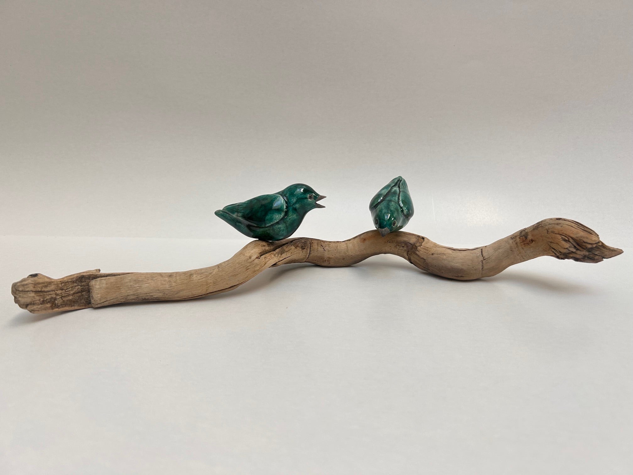 Frederique Delcourt Deux oiseaux verts b