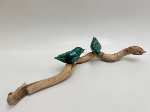Frederique Delcourt Deux oiseaux verts c