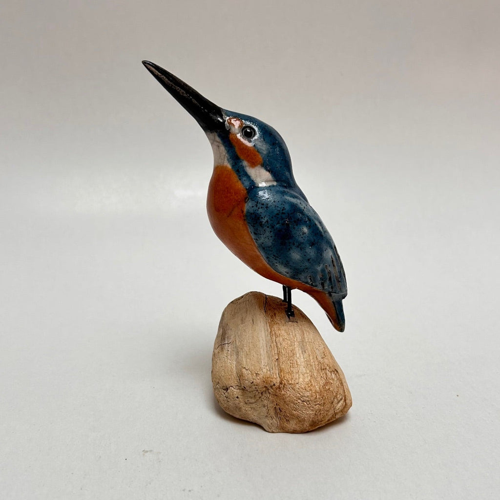 Frederique Delcourt Martin pêcheur bec levé