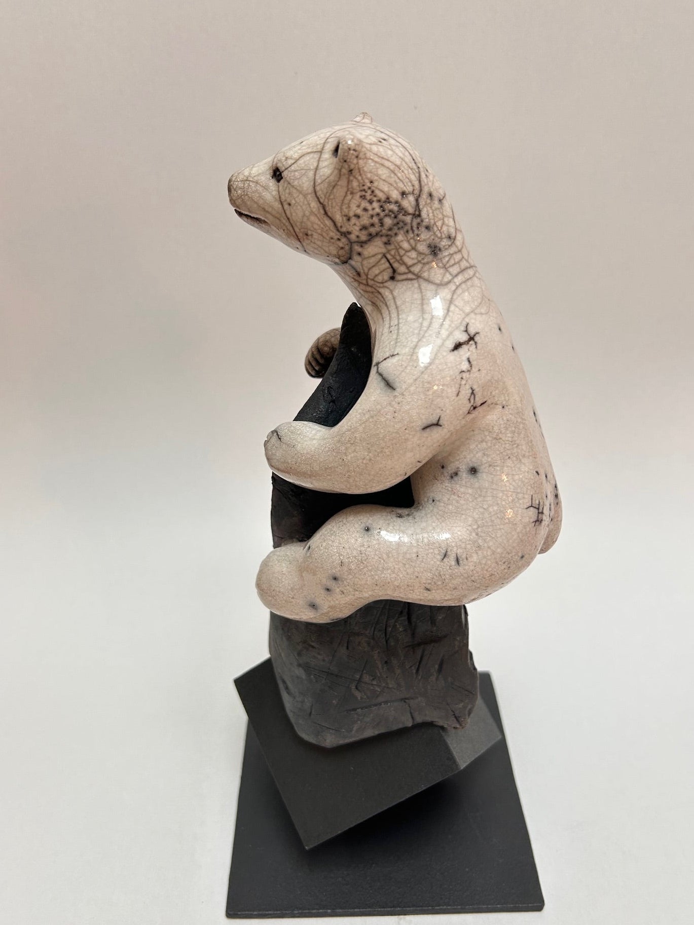 Frederique Delcourt Ourson-grimpeur b