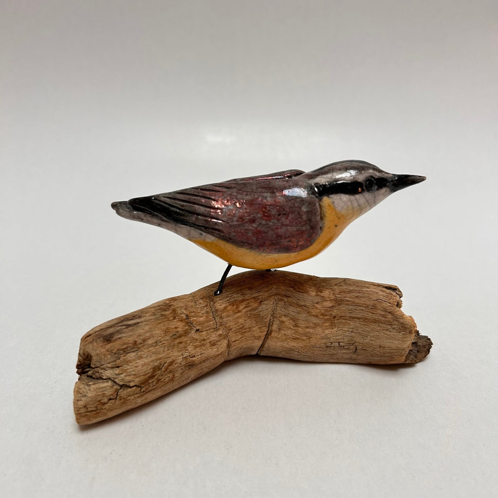 Frederique Delcourt Sittelle