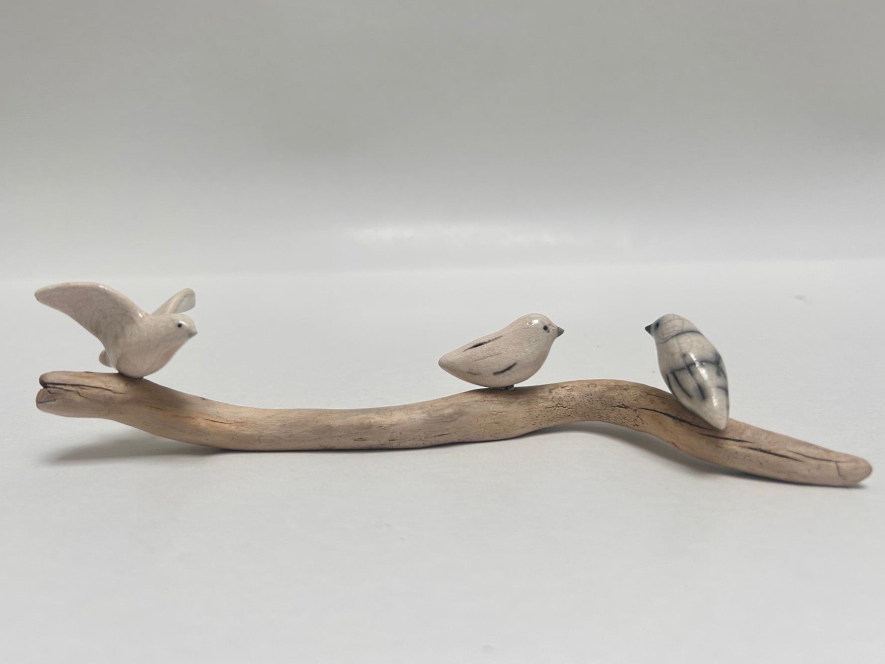 Frederique Delcourt Trois oiseaux sur une branche
