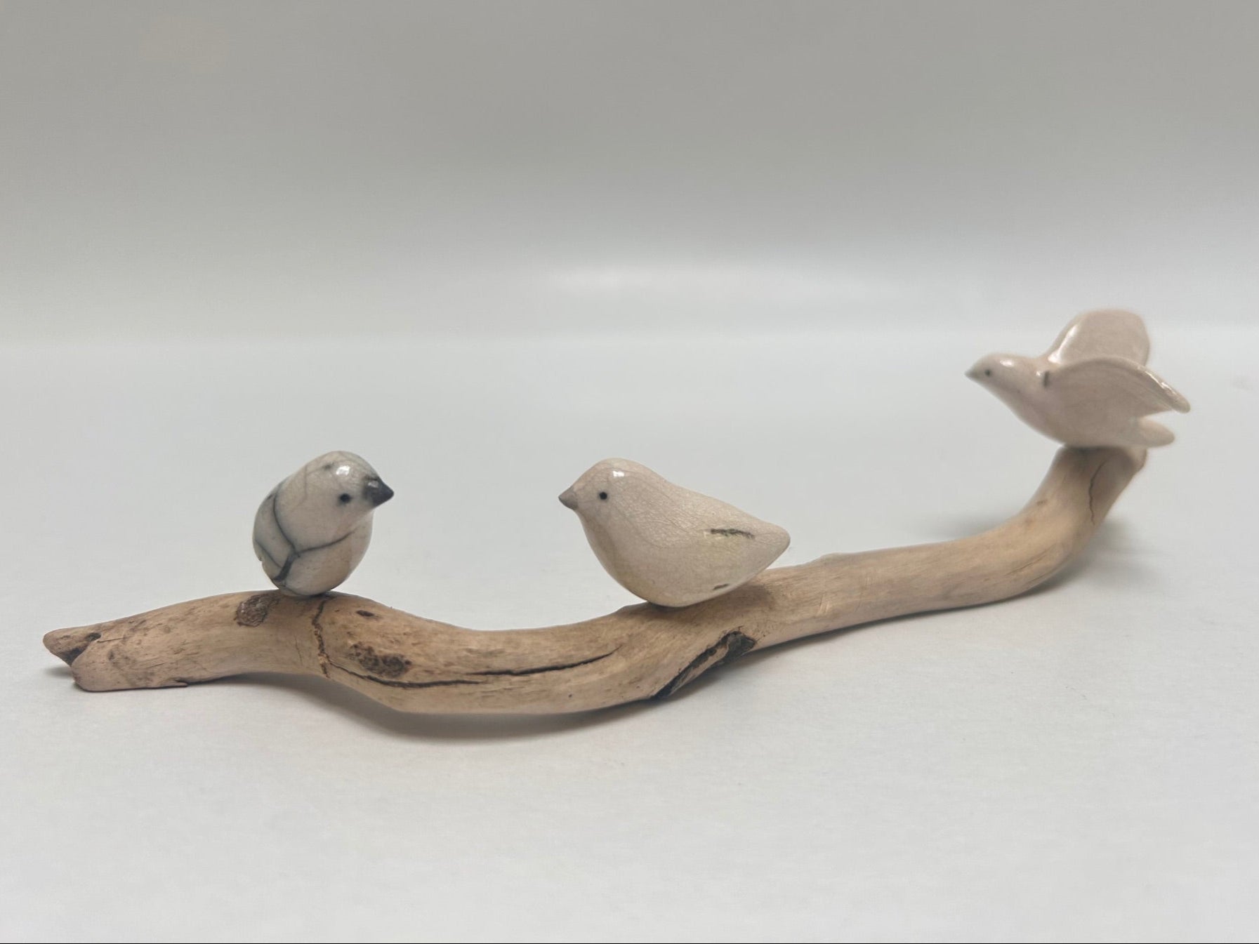 Frederique Delcourt Trois oiseaux sur une branche b