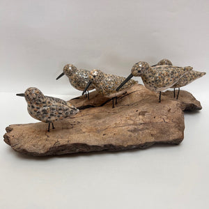 Frederique Delcourt becasseaux de sanderling b