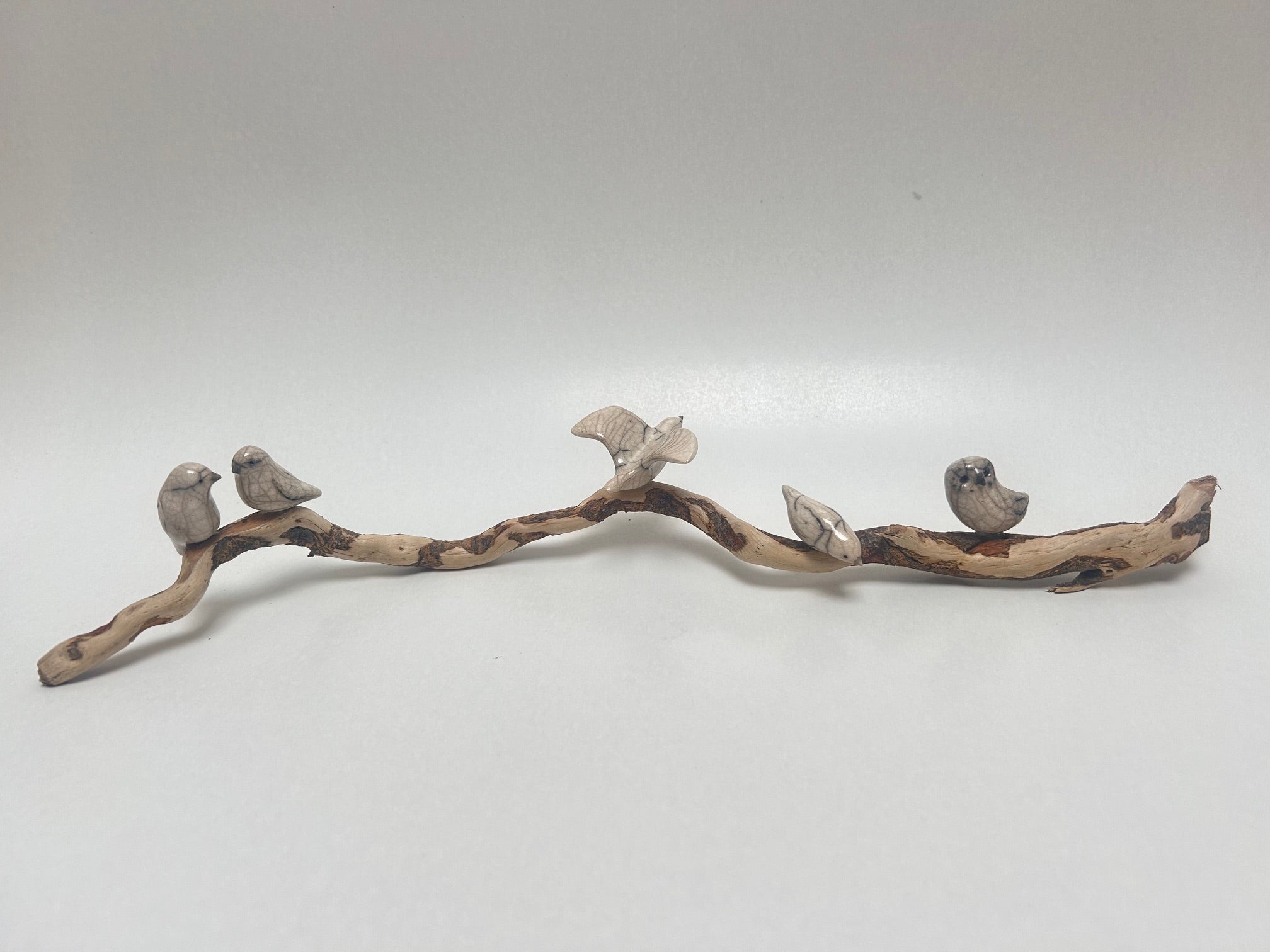 Frederique Delcourt cinq oiseaux sur bois flotté a