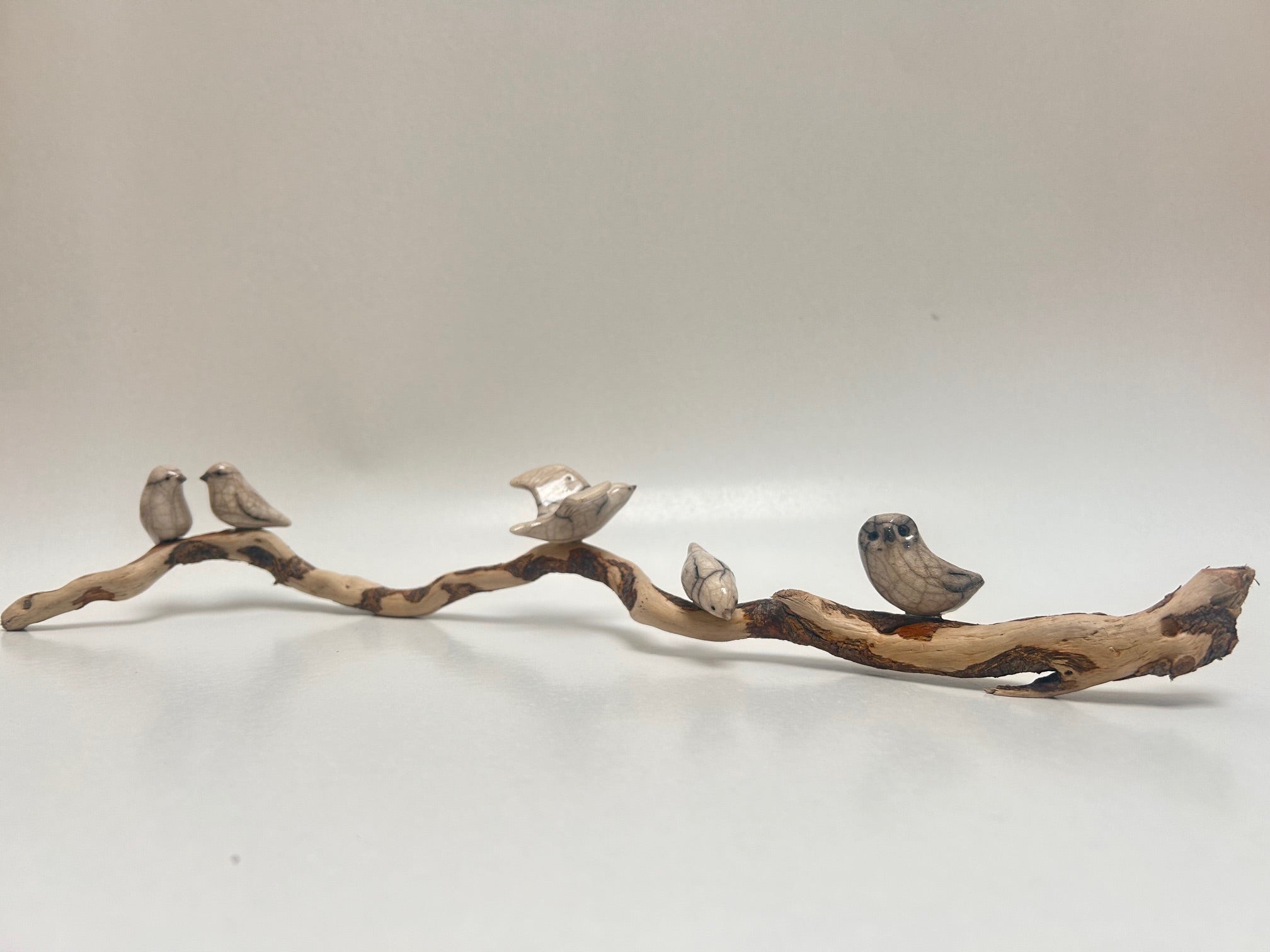 Frederique Delcourt cinq oiseaux sur bois flotté b1