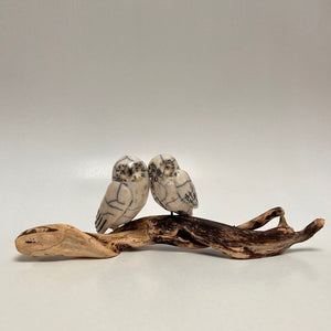 Frederique Delcourt couple de chouettes sur branche
