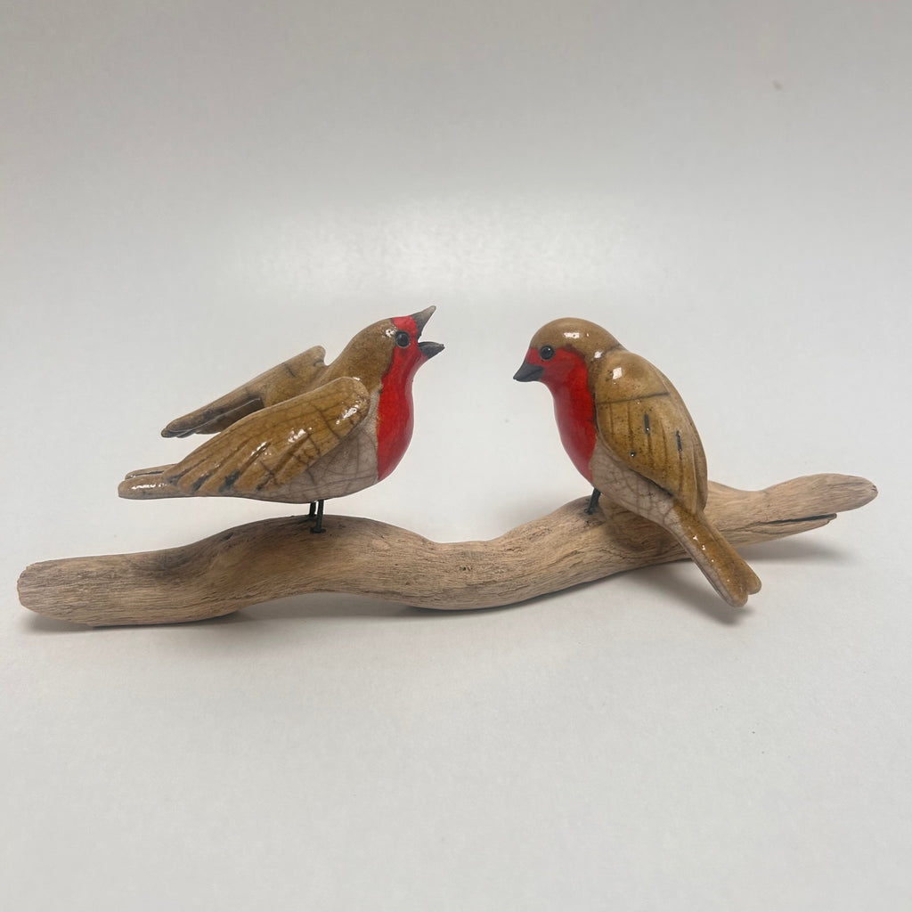 Frederique Delcourt couple de rouges-gorges ailes déployées