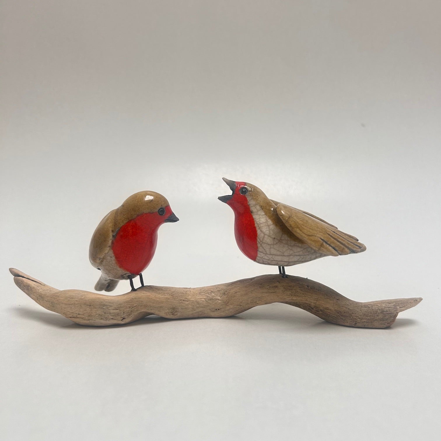 Frederique Delcourt couple de rouges-gorges ailes déployées b