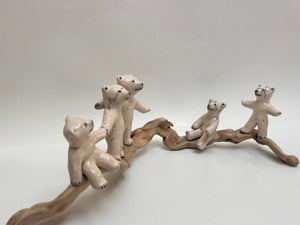Frederique Delcourt famille d'ours sur bois flotte c
