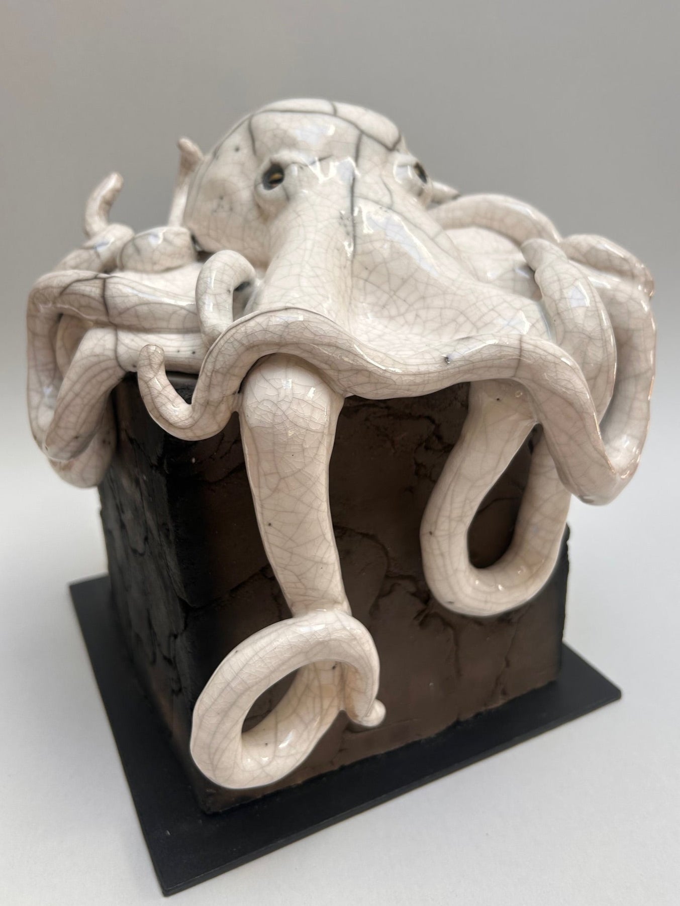 Frederique Delcourt pieuvre porcelaine