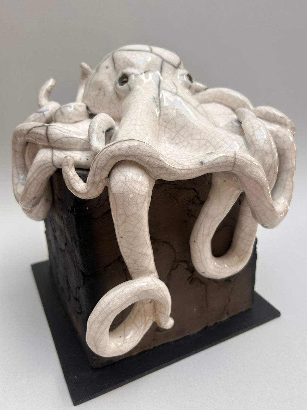 Frederique Delcourt pieuvre porcelaine