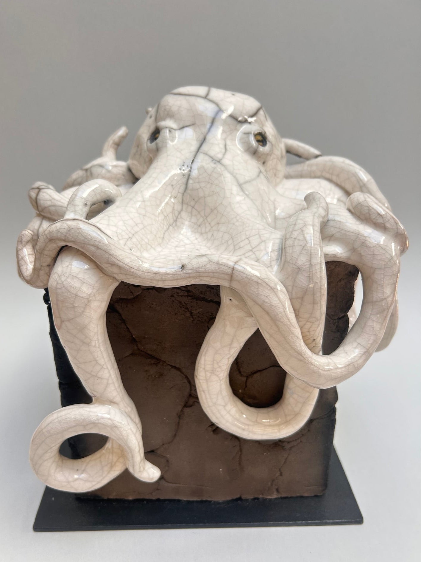 Frederique Delcourt pieuvre sur porcelaine b