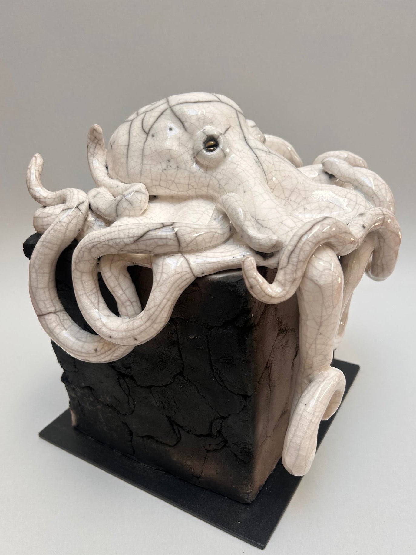 Frederique_Delcourt_pieuvre_sur_cube c