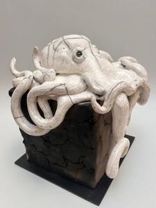 Frederique_Delcourt_pieuvre_sur_cube c