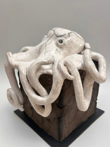 Frederique_Delcourt_pieuvre_sur_cube d