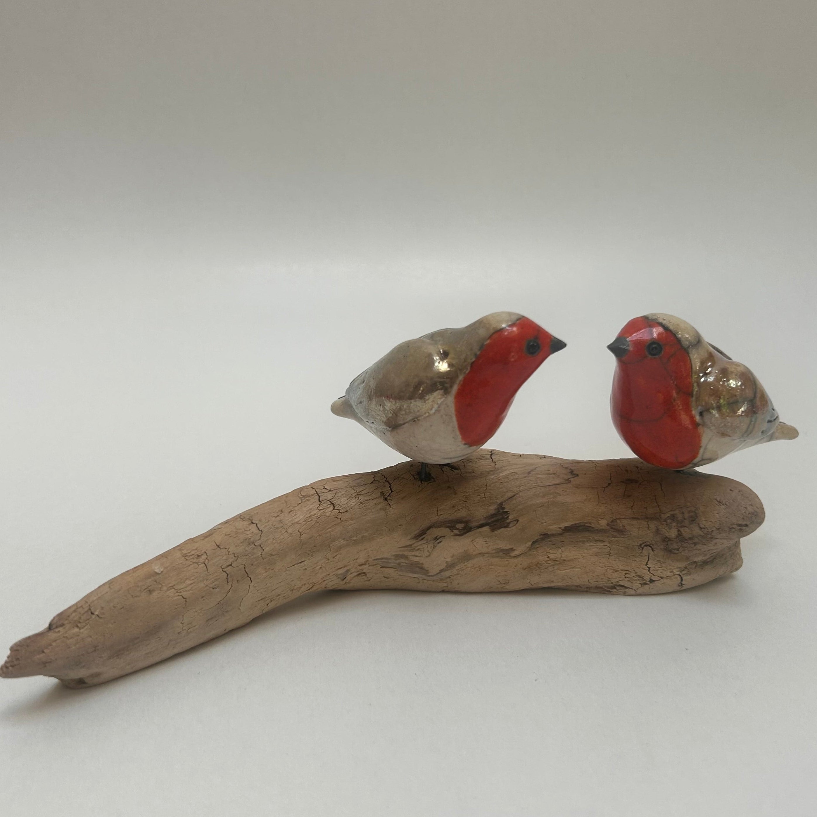 Frederique Delcourt couple de rouges-gorges b