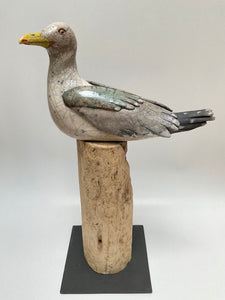 Mouette perchée