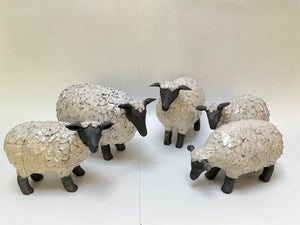 Frédérique Delcourt Moutons b