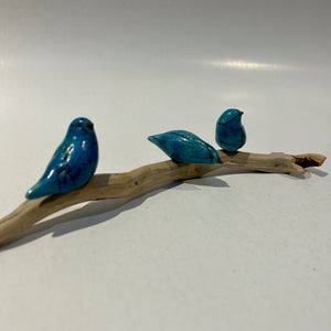 Frédérique Delcourt Trois oiseaux bleu