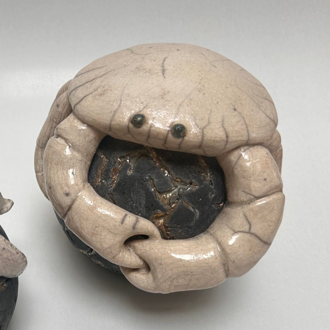 Frédérique Delcourt Crabe à la boule b