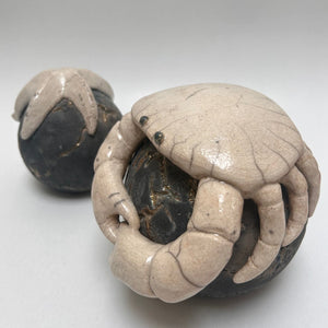 Frédérique Delcourt crabe à la boule