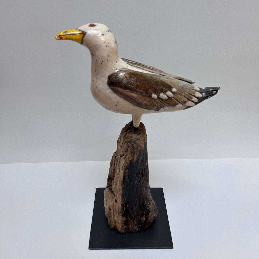 Frédérique Delcourt Mouette perchée