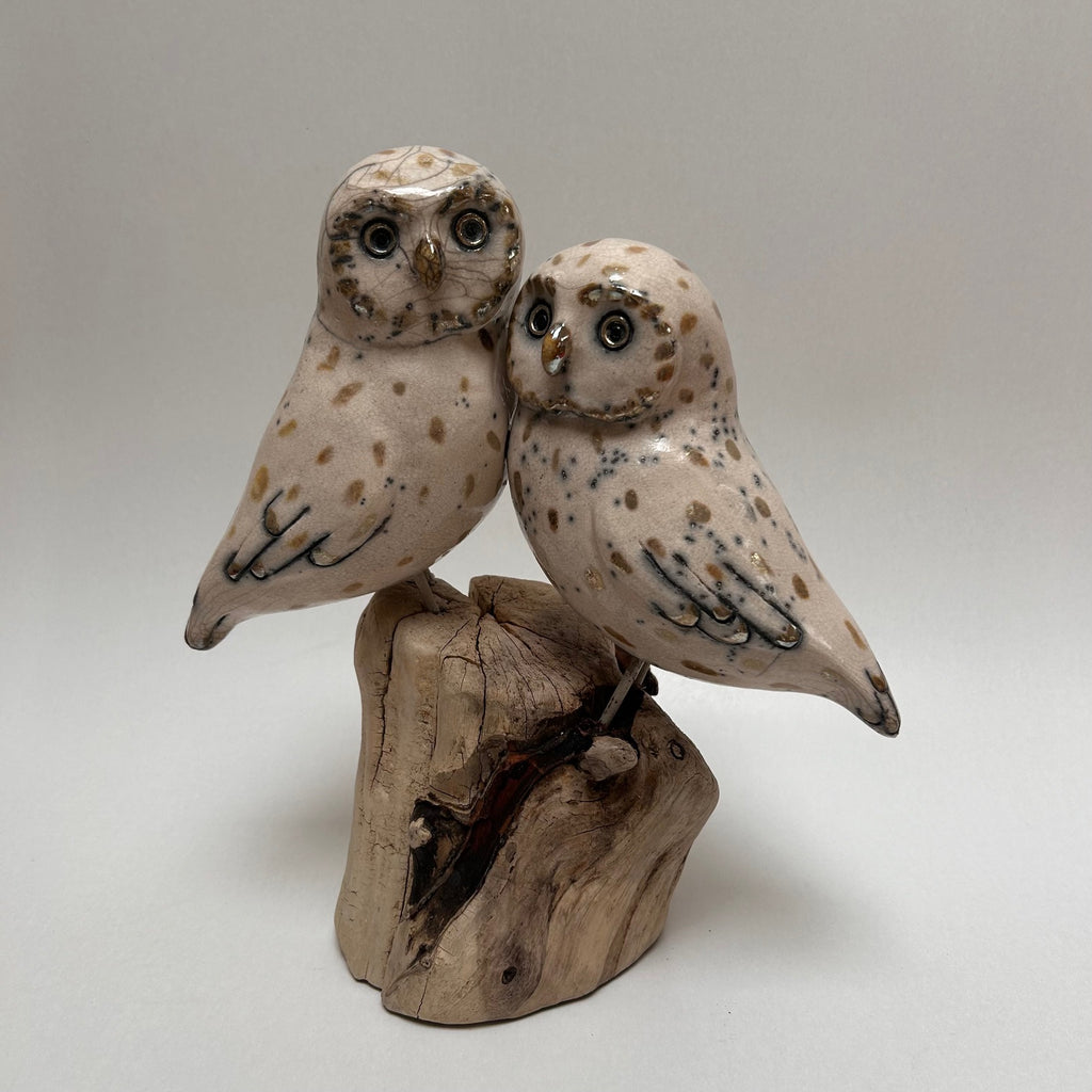 Frédérique Delcourt Couple de chouettes b