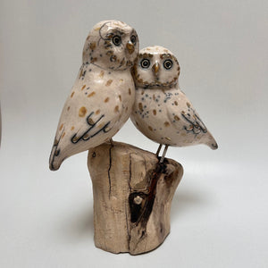 Frédérique Delcourt Couple de chouettes c