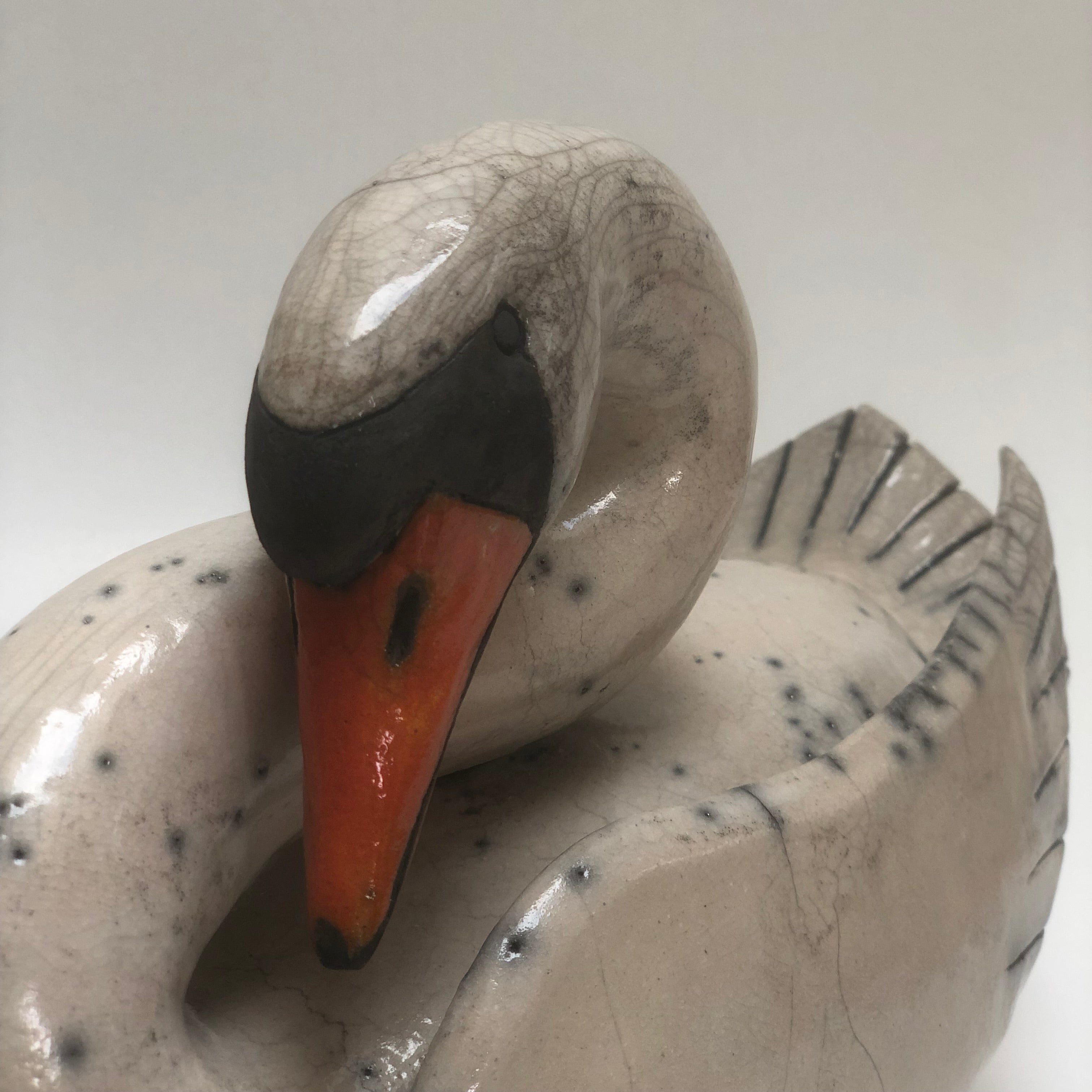 Frédérique Delcourt Cygne c
