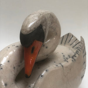 Frédérique Delcourt Cygne c