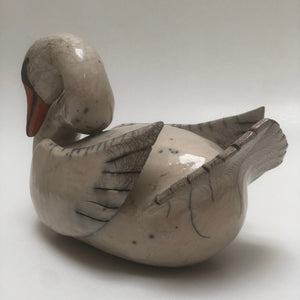 Frédérique Delcourt Cygne e
